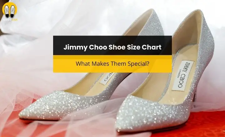Jimmy Choo Shoe Size Chart: What Makes Them Special?