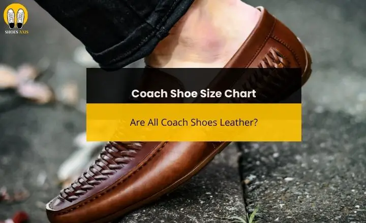 Coach Shoe Size Chart: Are All Coach Shoes Leather?
